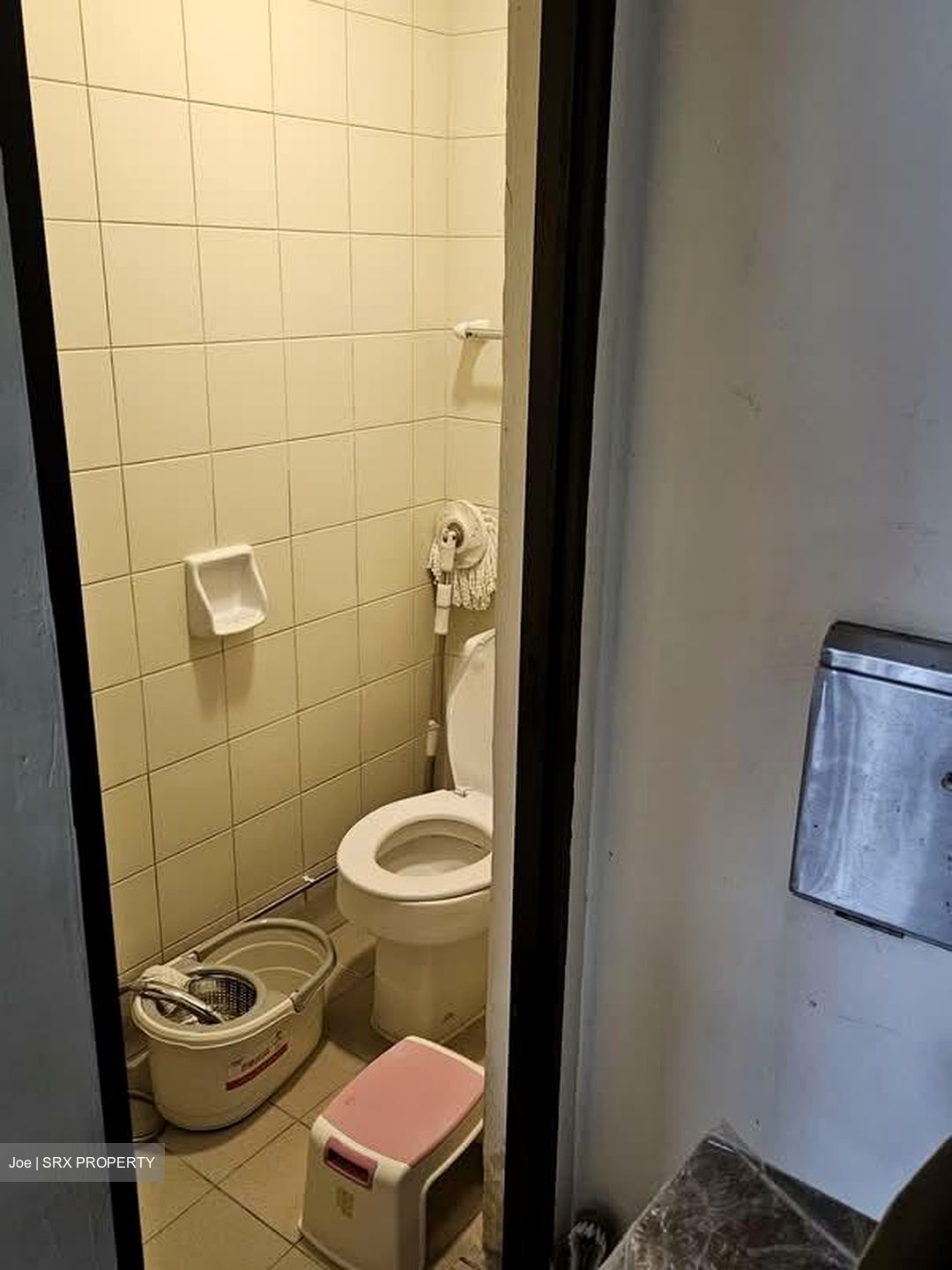 Valley Park (D10), Condominium #554711511
